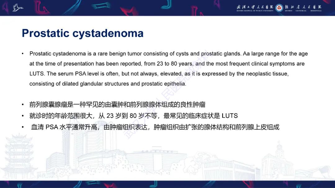 影像PPT - 【PPT】前列腺少见病变MRI诊断-61