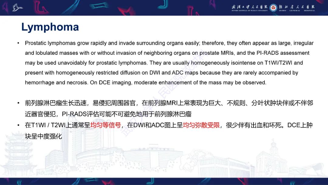 影像PPT - 【PPT】前列腺少见病变MRI诊断-59