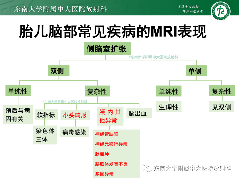 影像PPT - 【PPT】胎儿颅脑MRI技术及常见神经系统发育异常-51