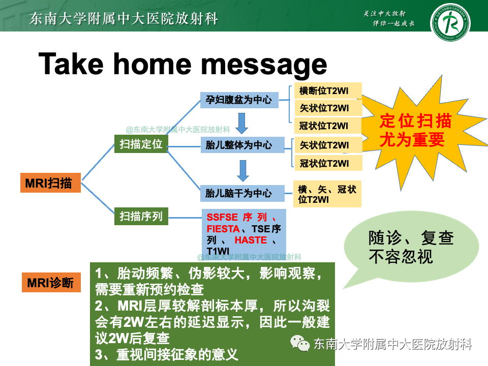 影像PPT - 【PPT】胎儿颅脑MRI技术及常见神经系统发育异常-53