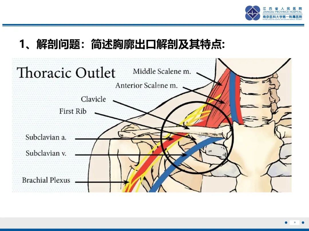影像PPT - 【PPT】胸廓出口综合征-10