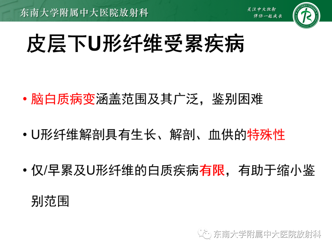 影像PPT - 【PPT】皮层下U形纤维受累常见病变-16