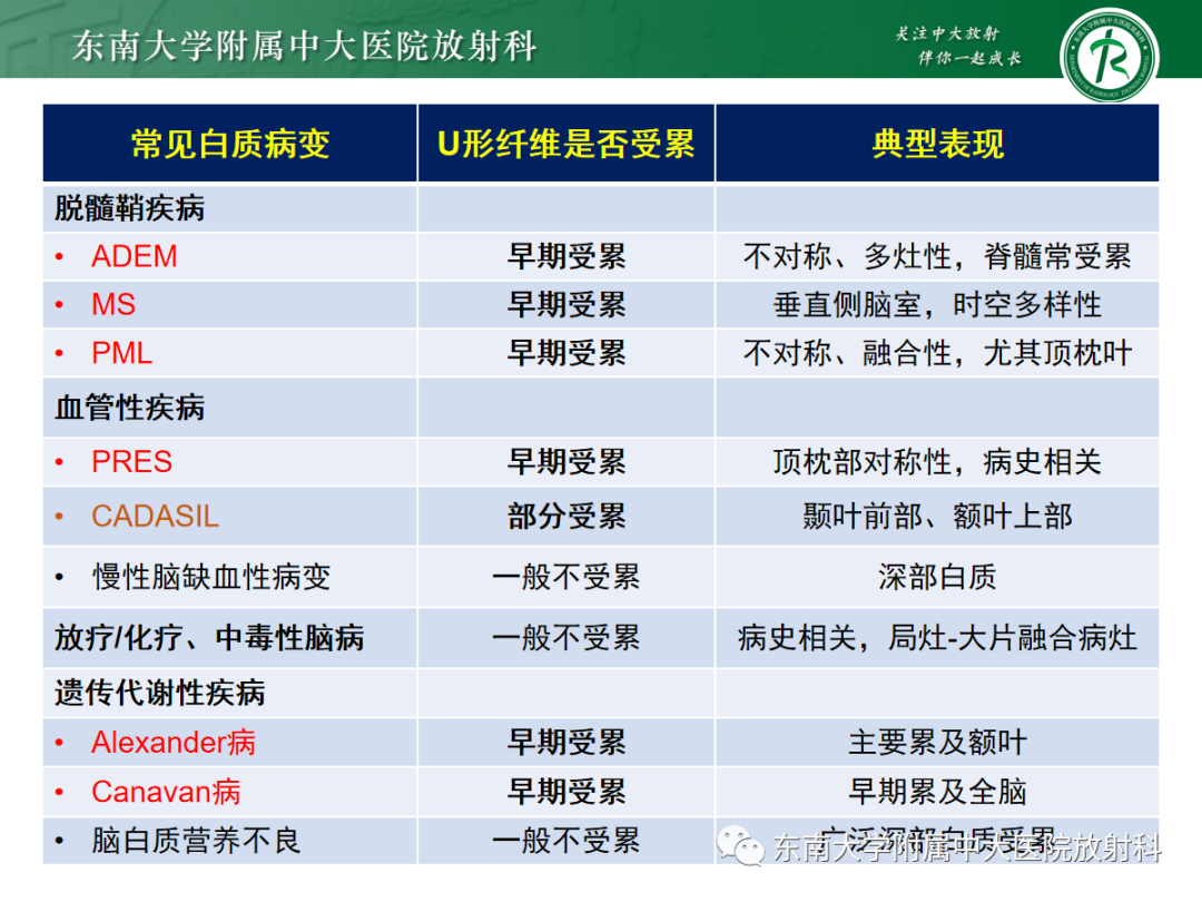 影像PPT - 【PPT】皮层下U形纤维受累常见病变-23