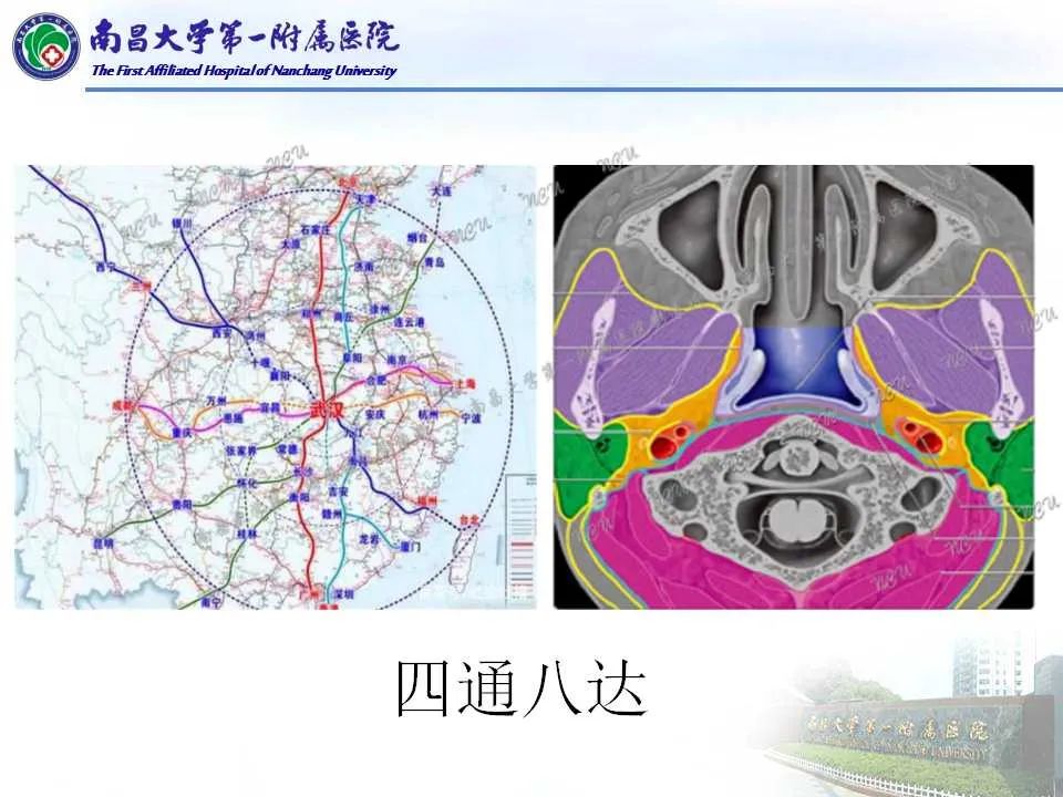 影像PPT - 【PPT】咽旁间隙——你别动-3