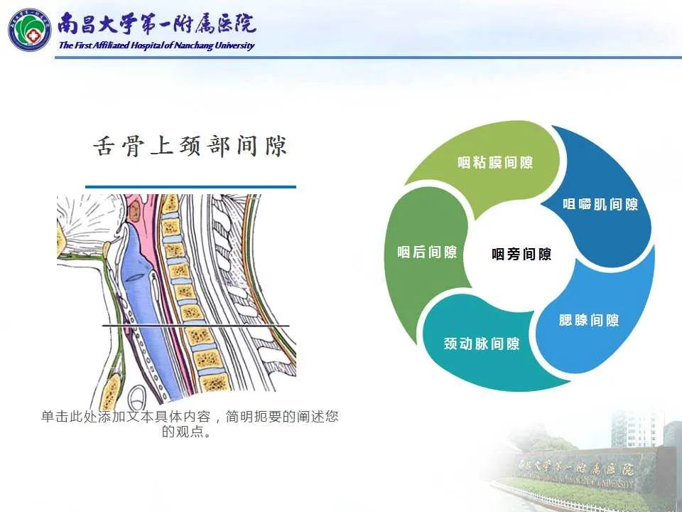 影像PPT - 【PPT】咽旁间隙——你别动-5