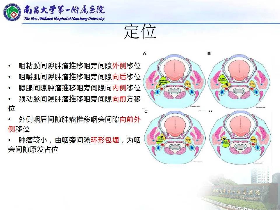 影像PPT - 【PPT】咽旁间隙——你别动-14