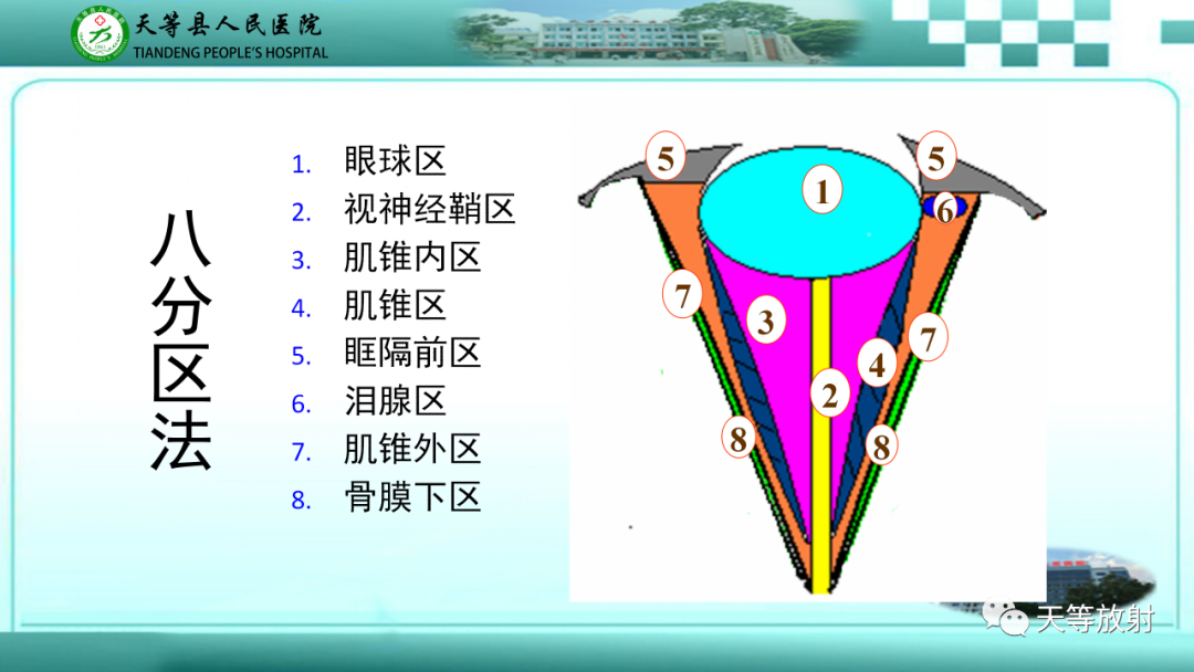 影像PPT - 【PPT】眼眶分区及各分区常见疾病-5