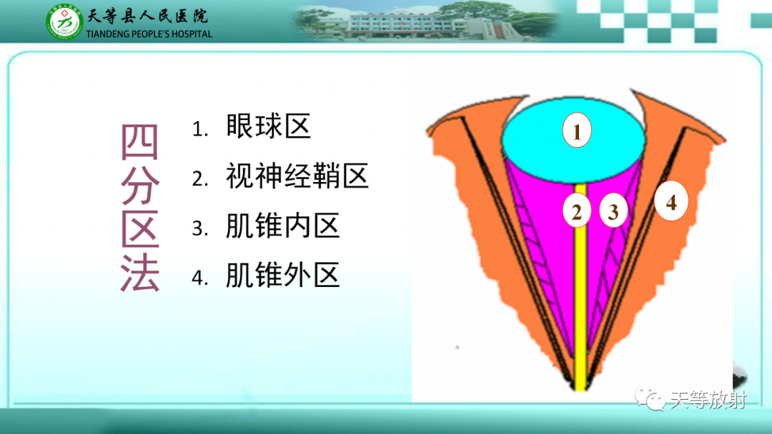 影像PPT - 【PPT】眼眶分区及各分区常见疾病-7
