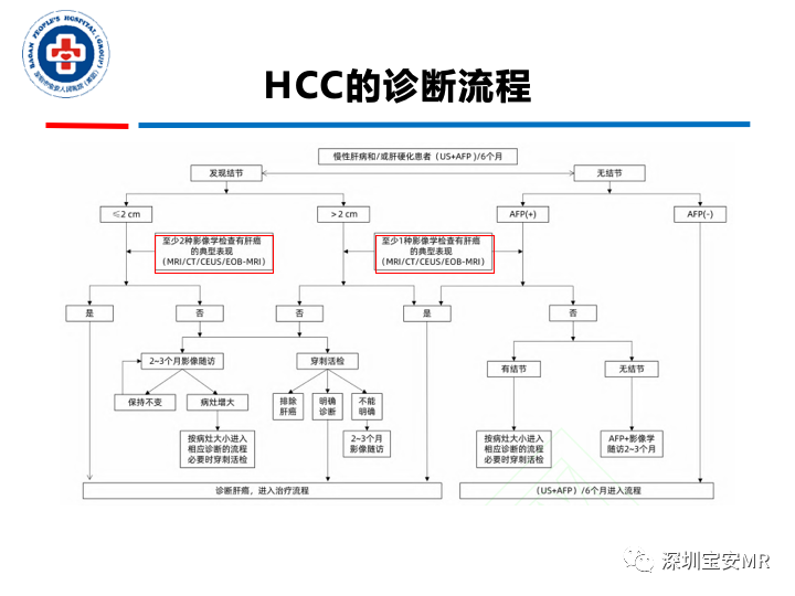 影像PPT - 【PPT】原发性肝癌影像检查-31