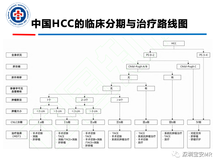 影像PPT - 【PPT】原发性肝癌影像检查-32