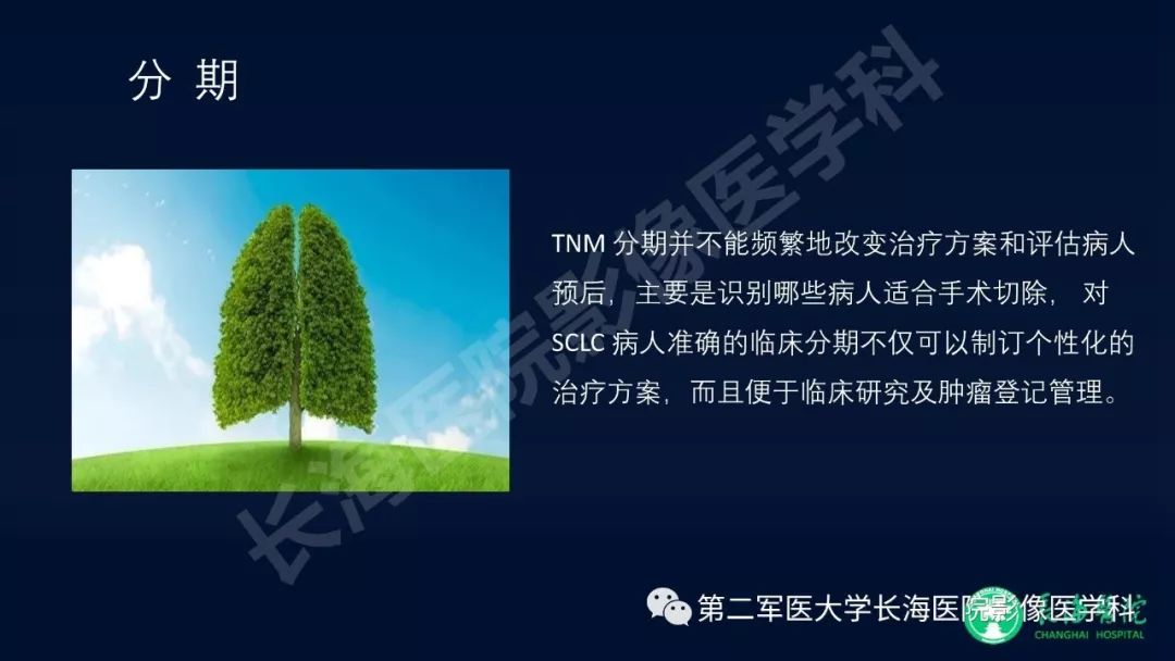 影像PPT - 【PPT】浅谈小细胞肺癌的影像诊断-11
