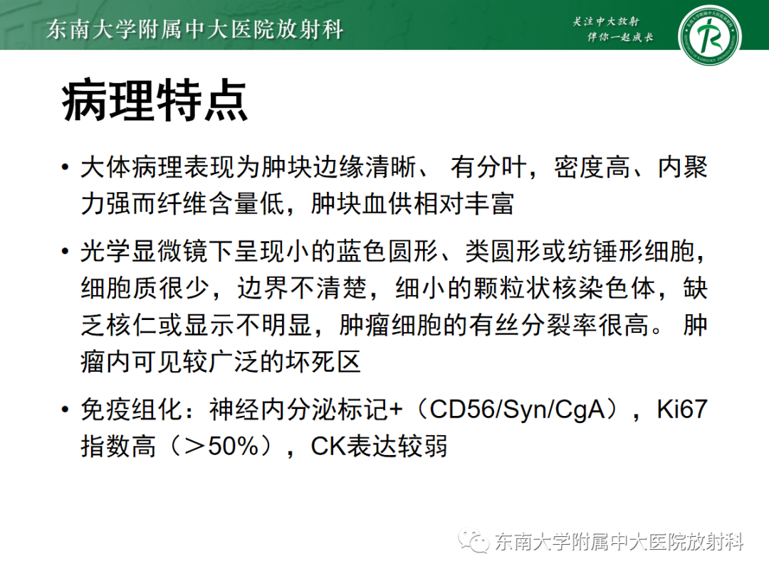 影像PPT - 【PPT】小细胞肺癌-7 影像PPT - 【PPT】小细胞肺癌-7