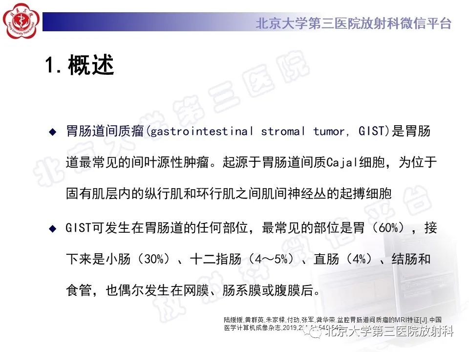 影像PPT - 【PPT】胃肠道间质瘤-13
