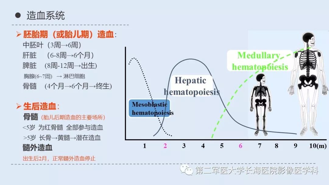 影像PPT - 【PPT】髓外造血的影像诊断-2 影像PPT - 【PPT】髓外造血的影像诊断-2