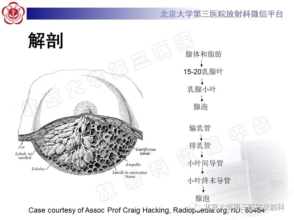 影像PPT - 【PPT】第五版BI-RADS分类解读（乳腺X线摄影）-6
