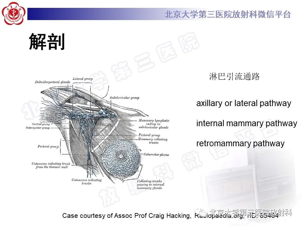 影像PPT - 【PPT】第五版BI-RADS分类解读（乳腺X线摄影）-7