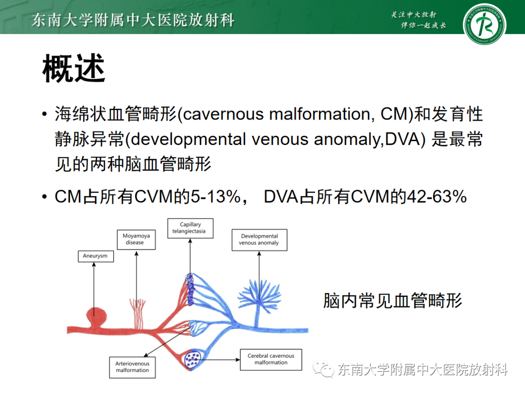 影像PPT - 【PPT】颅内海绵状血管畸形-5
