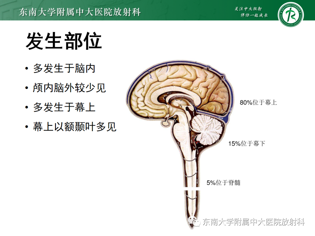 影像PPT - 【PPT】颅内海绵状血管畸形-8