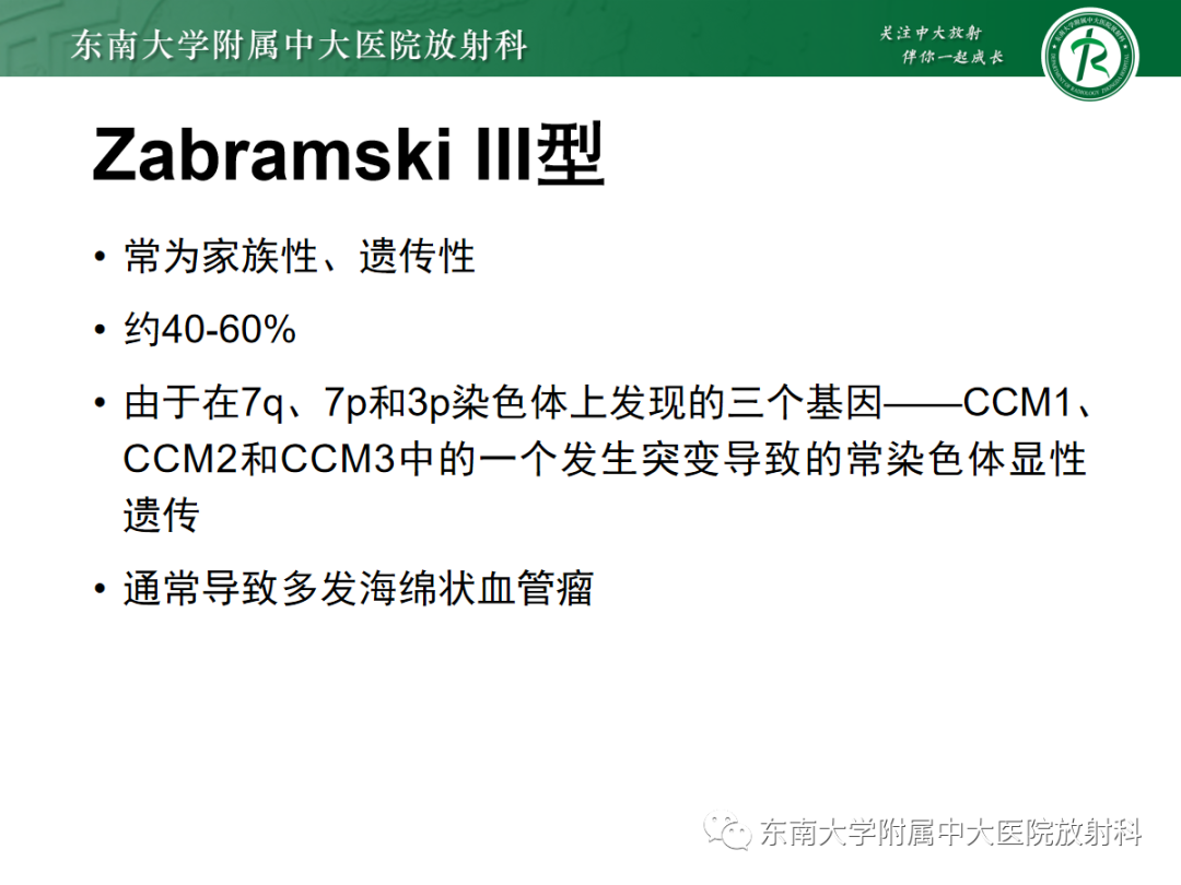 影像PPT - 【PPT】颅内海绵状血管畸形-20