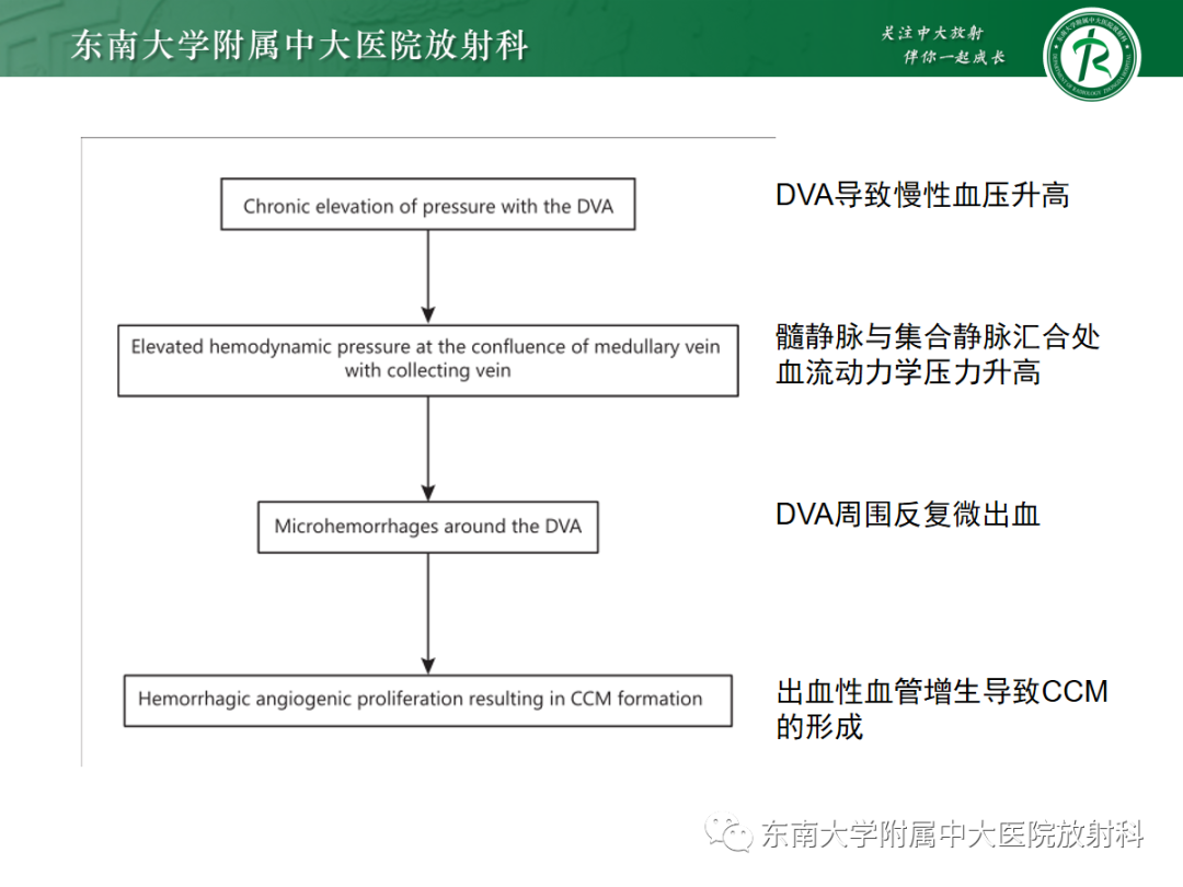 影像PPT - 【PPT】颅内海绵状血管畸形-26