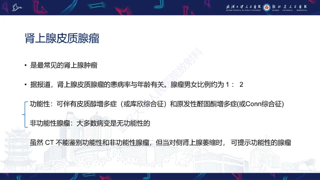 影像PPT - 【PPT】肾上腺常见病变CT及MRI诊断-6