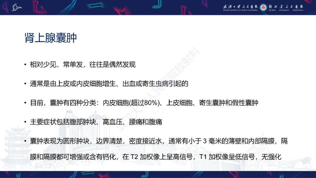 影像PPT - 【PPT】肾上腺常见病变CT及MRI诊断-22