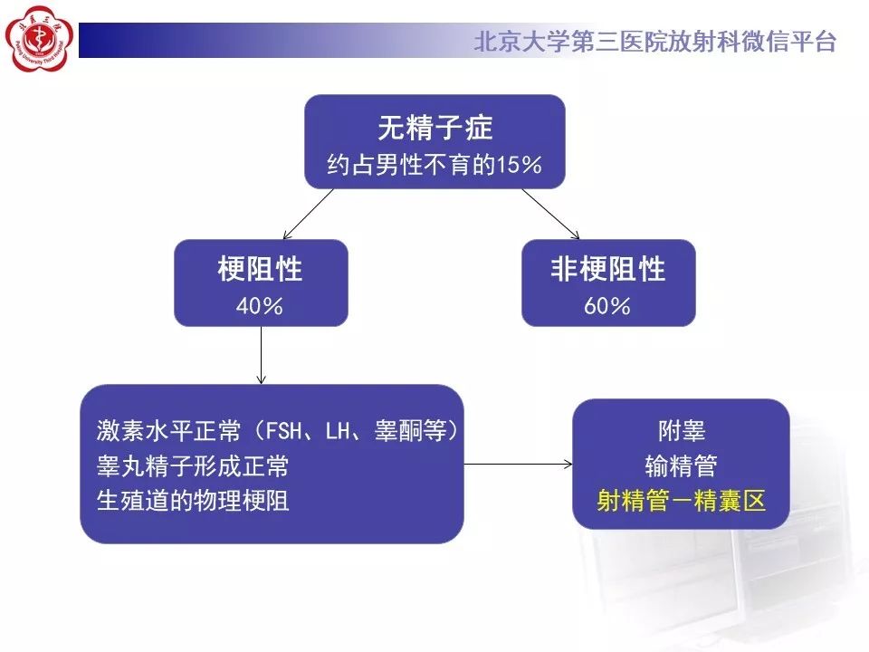 影像PPT - 【PPT】射精管-精囊区梗阻性无精子症-3