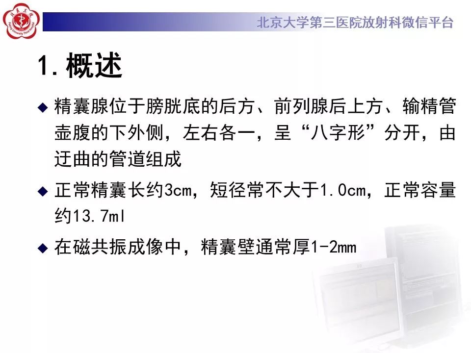 影像PPT - 【PPT】射精管-精囊区梗阻性无精子症-5