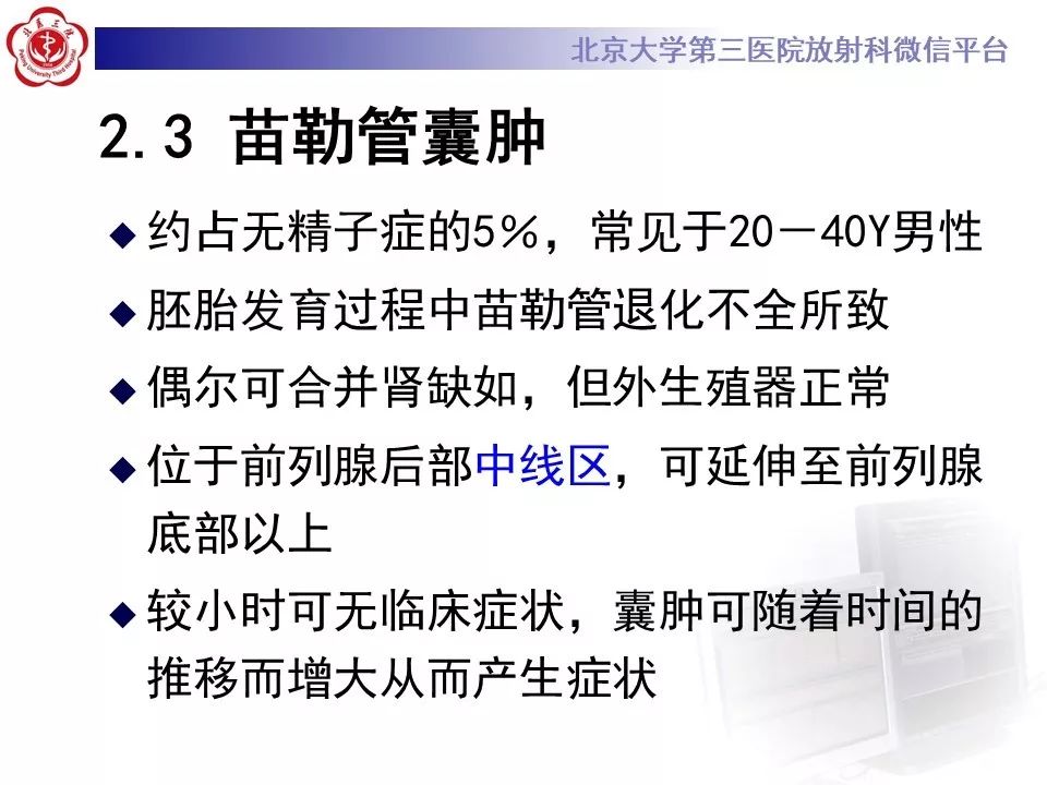影像PPT - 【PPT】射精管-精囊区梗阻性无精子症-14