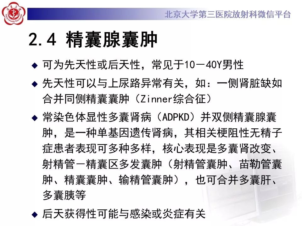 影像PPT - 【PPT】射精管-精囊区梗阻性无精子症-18