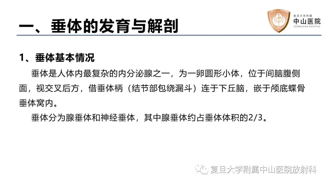 影像PPT - 【病例】蝶窦异位垂体腺瘤1例CT及MR-13