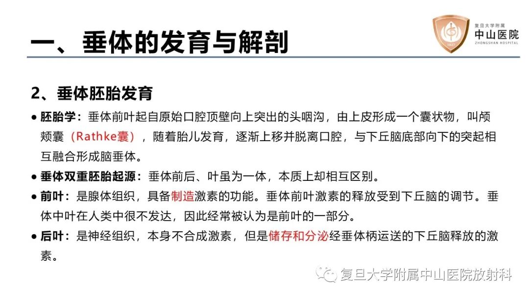 影像PPT - 【病例】蝶窦异位垂体腺瘤1例CT及MR-16