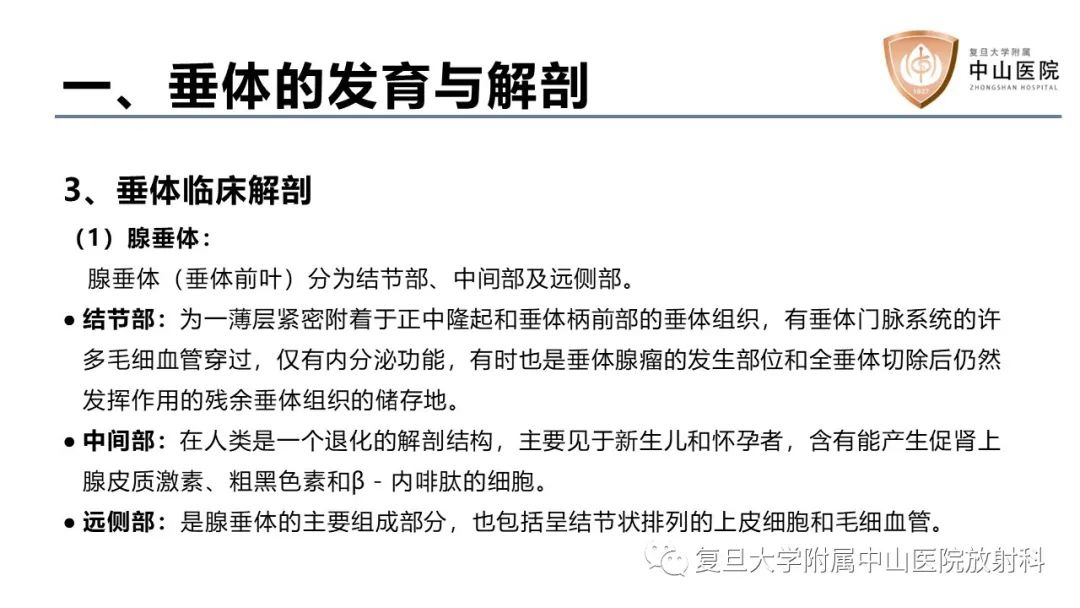影像PPT - 【病例】蝶窦异位垂体腺瘤1例CT及MR-17