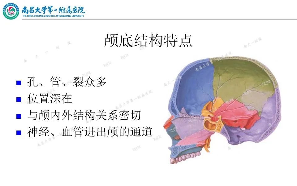 影像PPT - 【PPT】颅底肿瘤的影像诊断思路-11