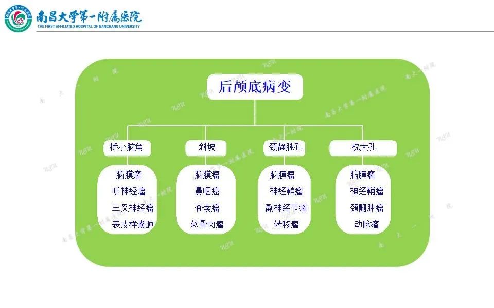 影像PPT - 【PPT】颅底肿瘤的影像诊断思路-21