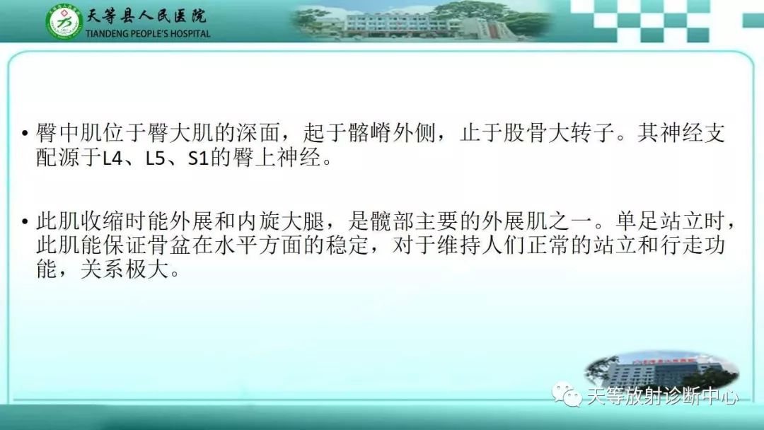 影像PPT - 【PPT】臀中肌损伤-2