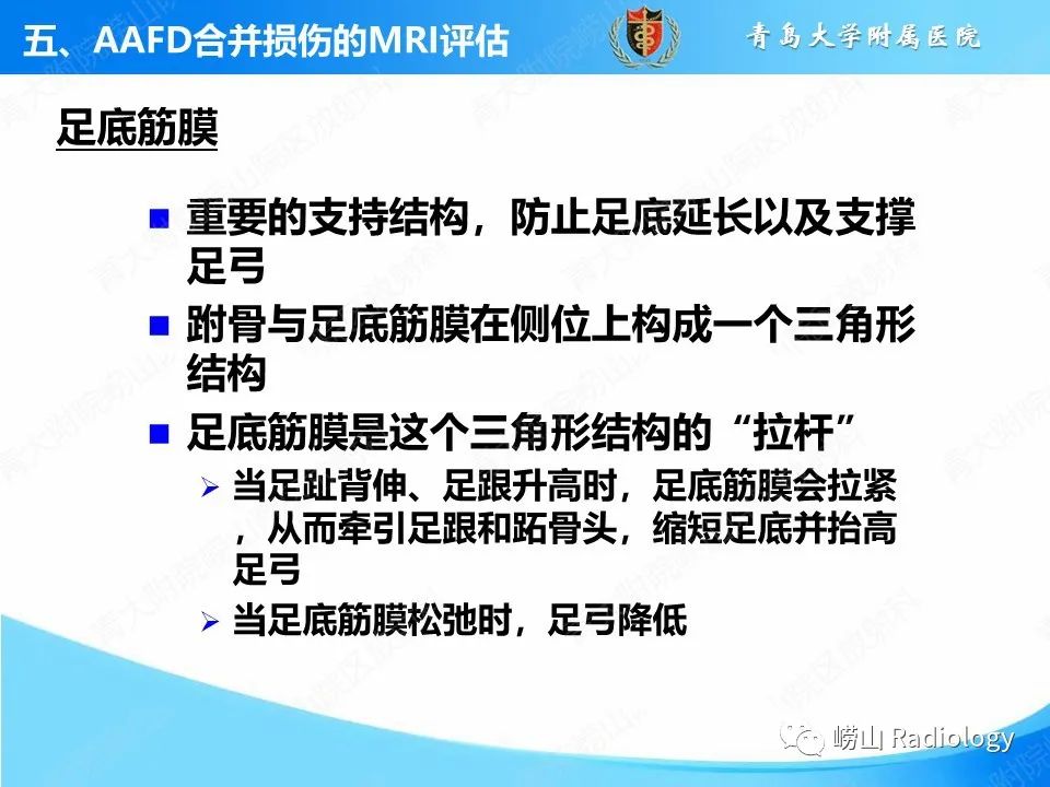 影像PPT - 【PPT】成人获得性扁平足（ AAFD ）及其相关损伤的影像诊断-43