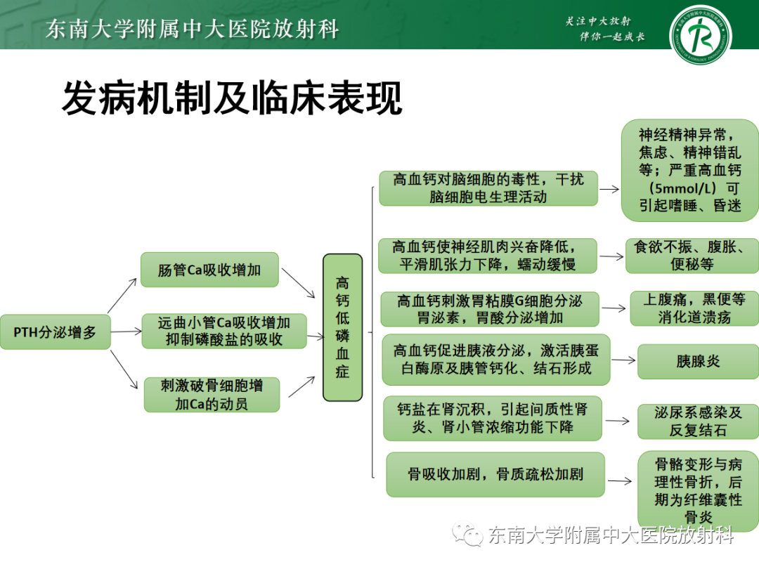 影像PPT - 【PPT】原发性甲状旁腺功能亢进-9 影像PPT - 【PPT】原发性甲状旁腺功能亢进-9