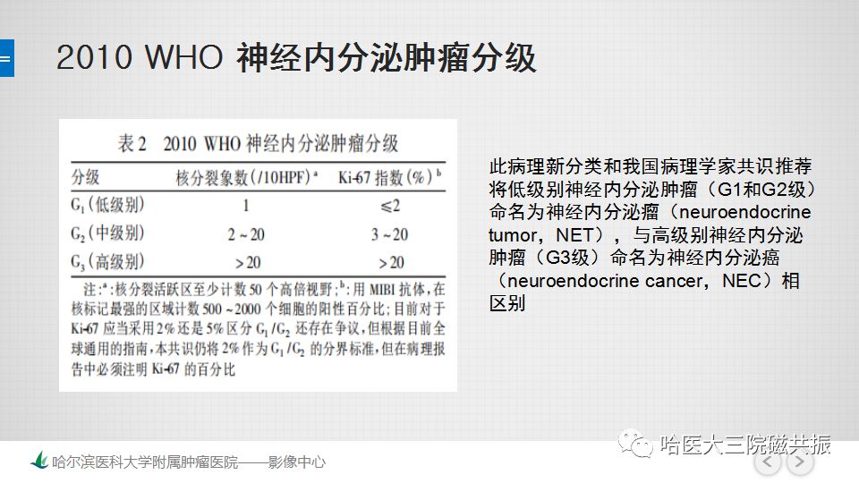 影像PPT - 【PPT】直肠神经内分泌肿瘤-16