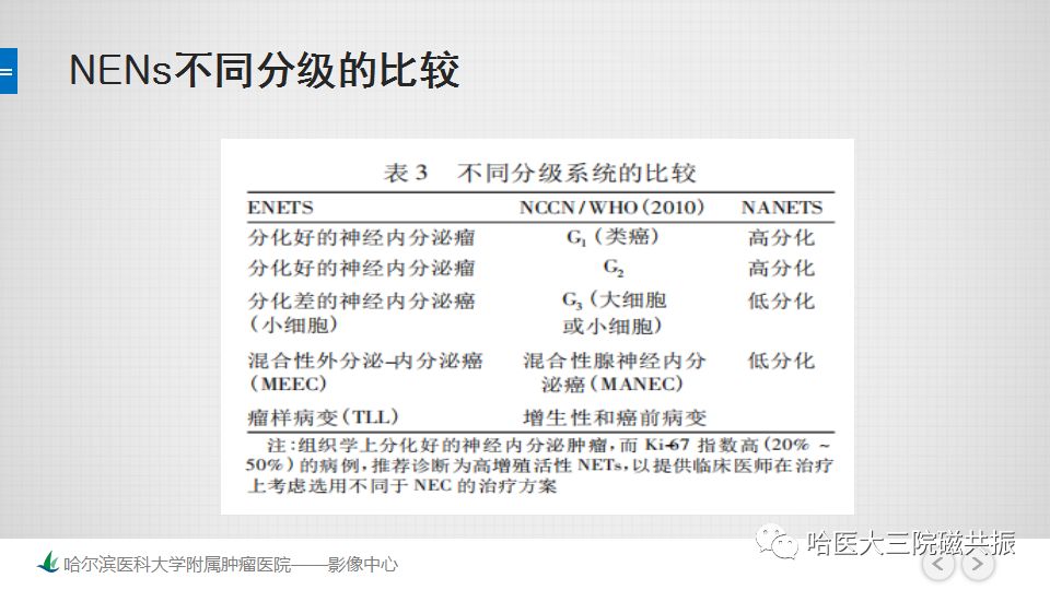 影像PPT - 【PPT】直肠神经内分泌肿瘤-17