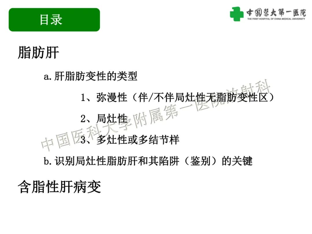 影像PPT - 【PPT】是脂是敌？肝脏良性含脂病变与相似的恶性病变鉴别诊断-2