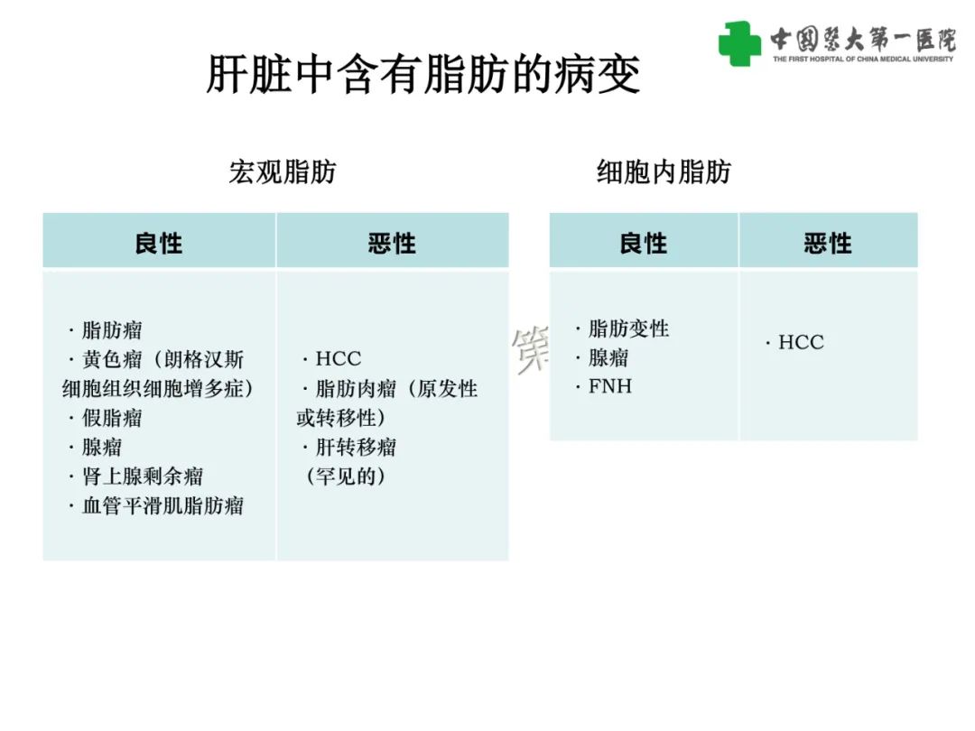 影像PPT - 【PPT】是脂是敌？肝脏良性含脂病变与相似的恶性病变鉴别诊断-26