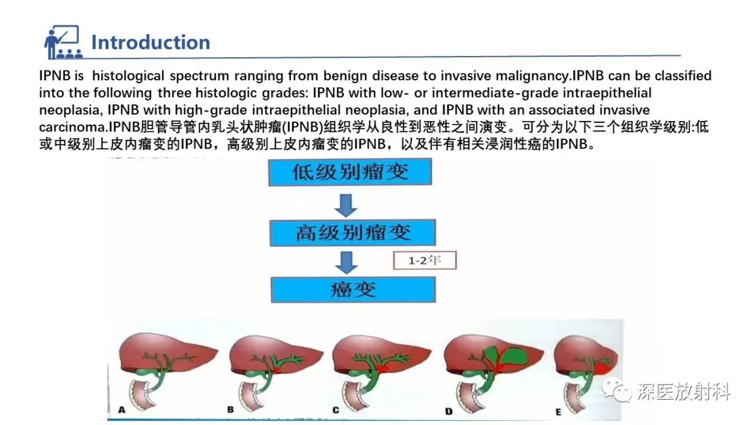 影像PPT - 【PPT】胆管导管内乳头状肿瘤:利用MRI评估浸润性和长期预后-7