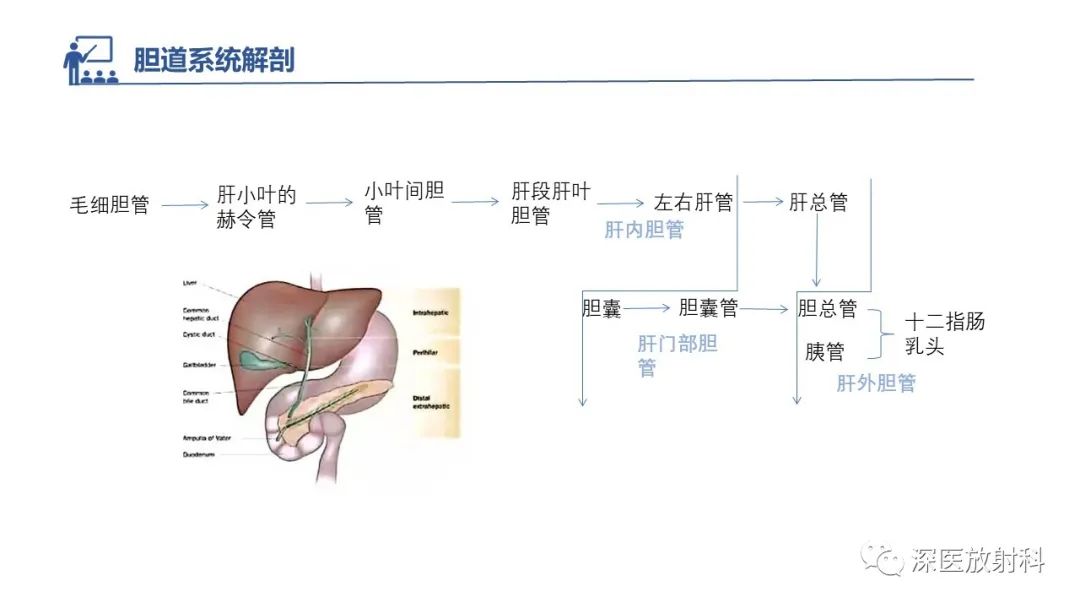影像PPT - 【PPT】胆管导管内乳头状肿瘤:利用MRI评估浸润性和长期预后-28