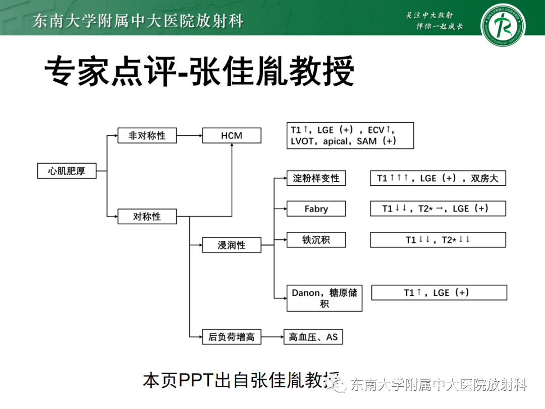 影像PPT - 【PPT】心肌淀粉样变-21