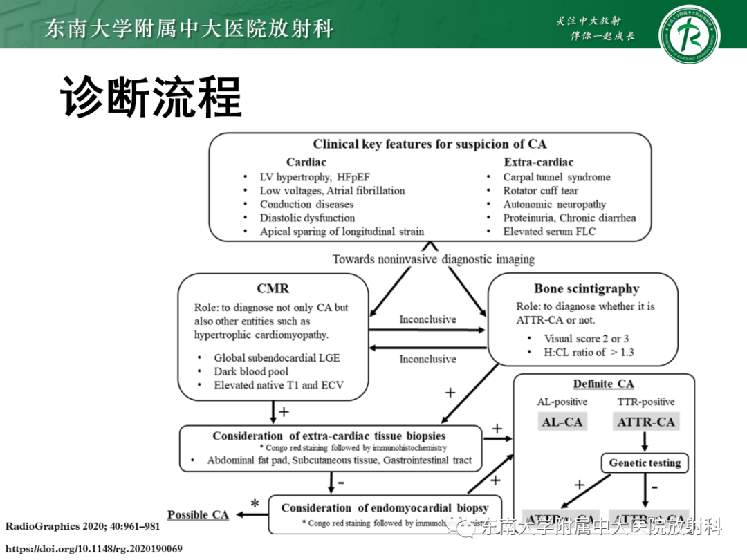 影像PPT - 【PPT】心肌淀粉样变-31