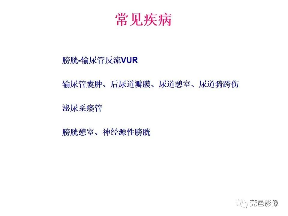 影像PPT - 【PPT】儿童膀胱造影流程及常见疾病诊断-8