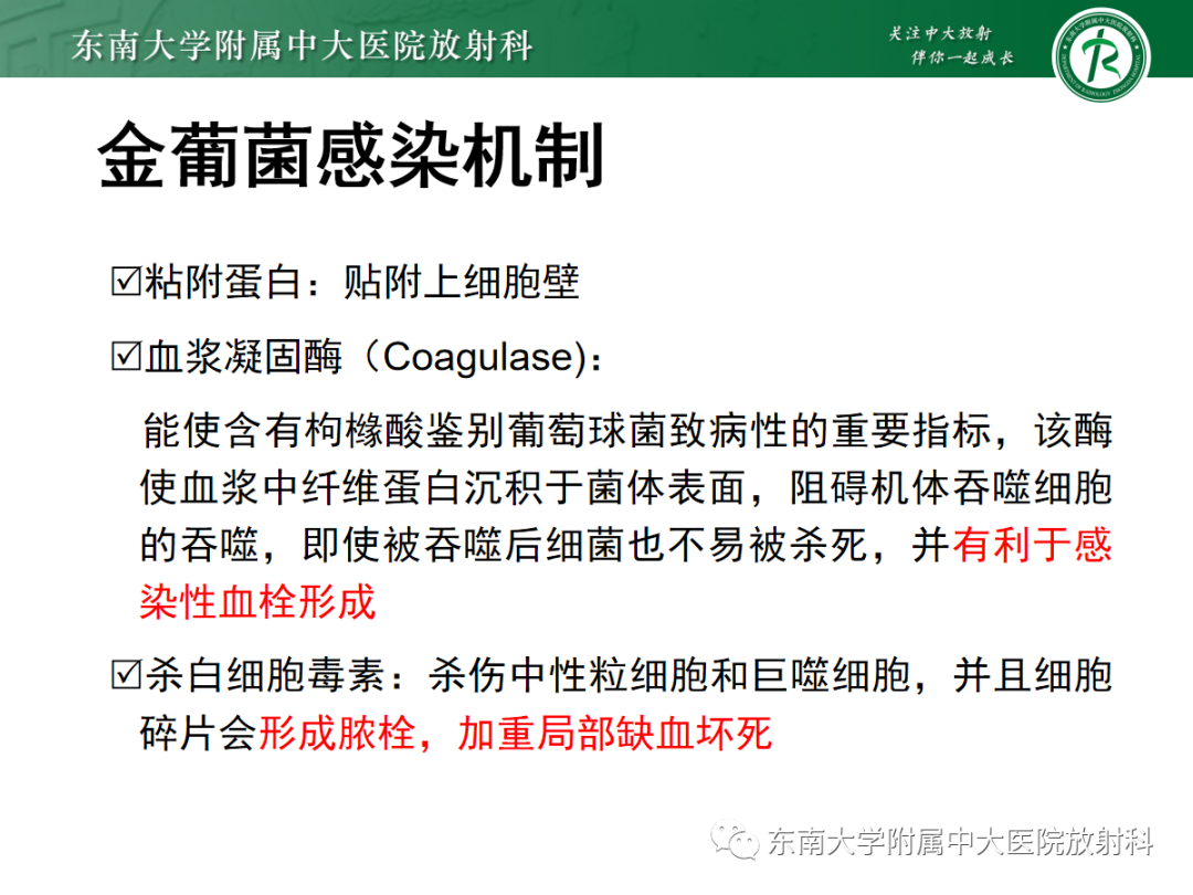影像PPT - 【PPT】金黄色葡萄球菌肺炎-11 影像PPT - 【PPT】金黄色葡萄球菌肺炎-11