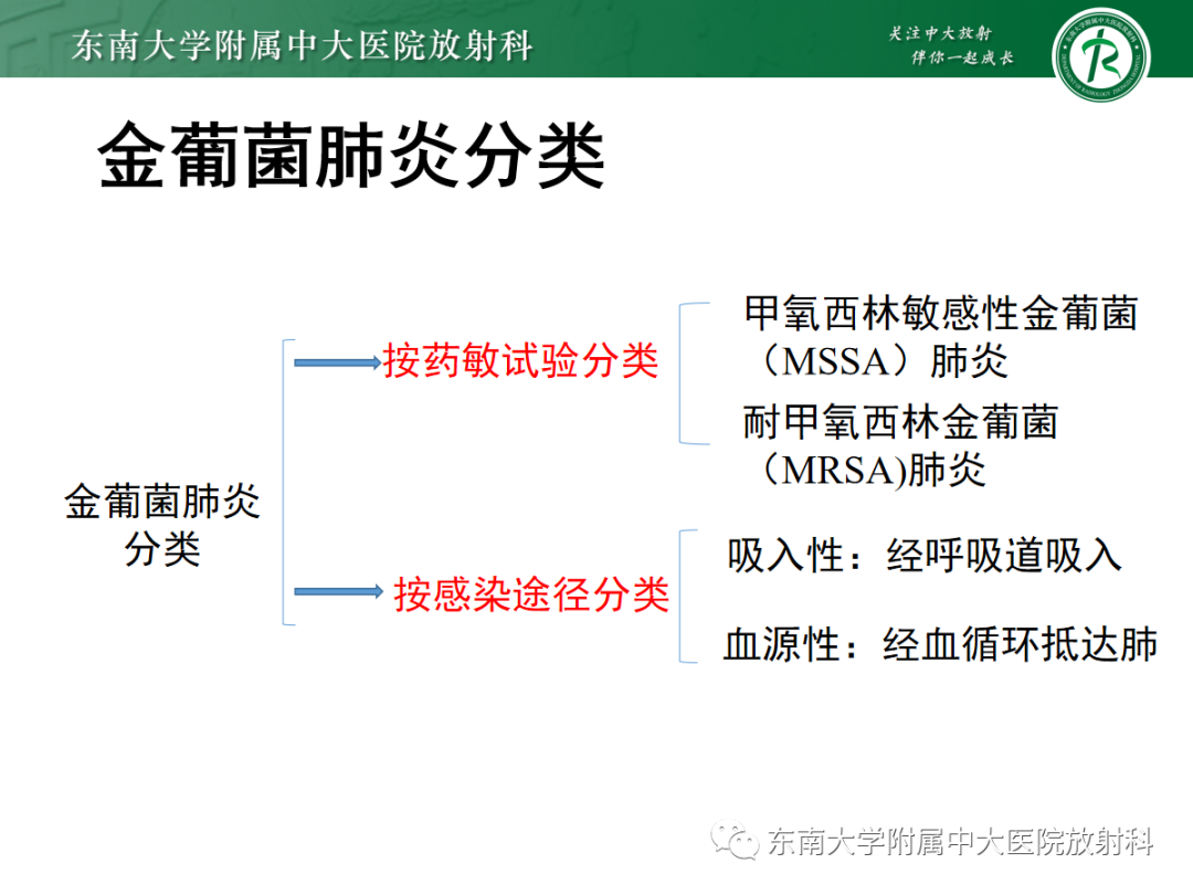 影像PPT - 【PPT】金黄色葡萄球菌肺炎-14 影像PPT - 【PPT】金黄色葡萄球菌肺炎-14