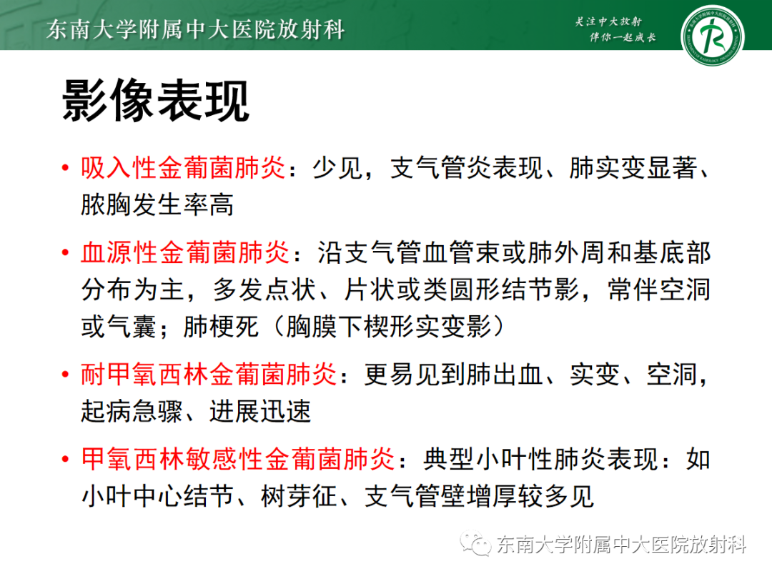 影像PPT - 【PPT】金黄色葡萄球菌肺炎-16 影像PPT - 【PPT】金黄色葡萄球菌肺炎-16
